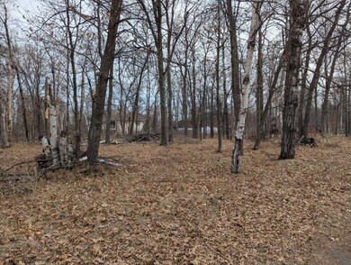 Lot 21 B0 Birch Ln, Breezy Point, MN 56472 - photo 5