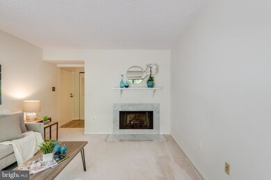 2210 Springwood Dr unit 107, Reston, VA 20191 - photo 6
