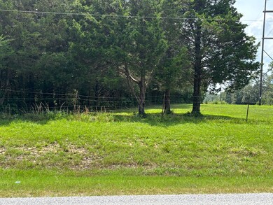 0 Ar Hwy 58 Hwy unit 25-435, Williford, AR 72482 - photo 3