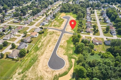 2910 S/L 17 Willow Way, Norton, OH 44203 - photo 4