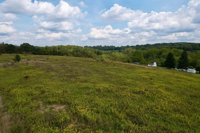 0 Pigeon Creek Rd unit 25006604, Eighty Four, PA 15330 - photo 7