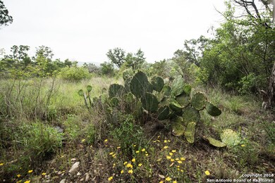 15821 Canyonside, Helotes, TX 78023 - photo 5
