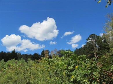 5 Les Ferrell Rd, Stewart, TN 37175 - photo 2