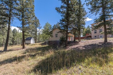 1625 N Mountain Estates Rd, Florissant, CO 80816 - photo 6