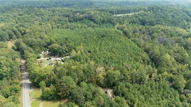 12263 Poole Rd unit 1, Duncanville, AL 35456 - photo 6