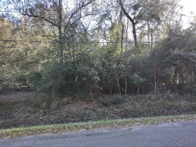 00 Seminole, Magnolia, TX 77354 - photo 4