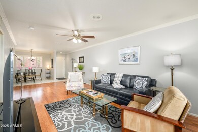 4303 E Cactus Rd unit 229, Phoenix, AZ 85032 - photo 4