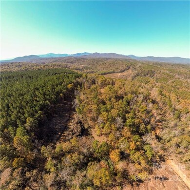 0 Hardin Store Rd unit 3694748, Rutherfordton, NC 28139 - photo 4