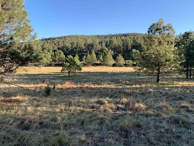 Lot 4 James Canyon Hwy unit 4, Cloudcroft, NM 88317 - photo 2