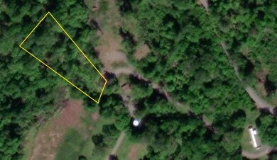 0 Schelley Rd, Gainesboro, TN 38562 - photo 4