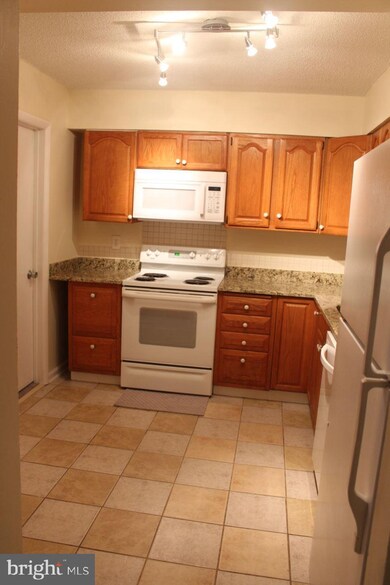 3810 Laramie Place unit C, Alexandria, VA 22309 - photo 5