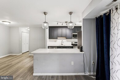 5608 Bloomfield Dr unit 204, Alexandria, VA 22312 - photo 6