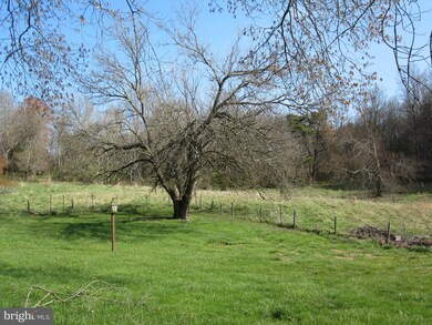 300 George James Loop, Radiant, VA 22732 - photo 7