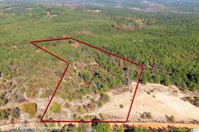 0 County Road 101, Plantersville, AL 36758 - photo 6