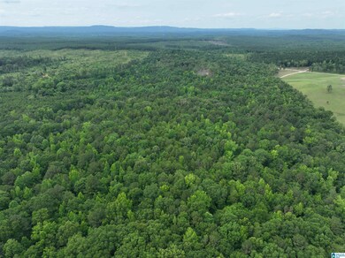 0 Jackson Farm Rd unit 21420738, Wilsonville, AL 35186 - photo 6