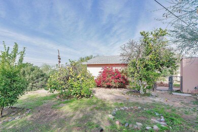 Side yard and garage