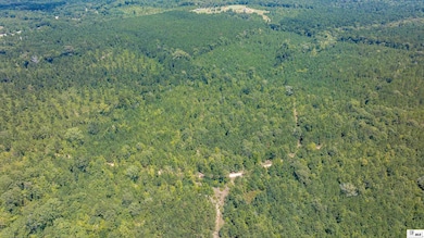 0 Guyton Swamp Rd, Calhoun, LA 71225 - photo 5