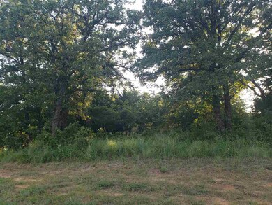 Lot 9 Cole Creek Dr, Marlow, OK 73533 - photo 4