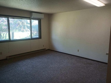 506 Carleton Ave, Morgan, MN 56266 - photo 5