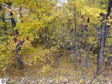 Lot 81 Eden St unit 81, Kingsley, MI 49649 - photo 2