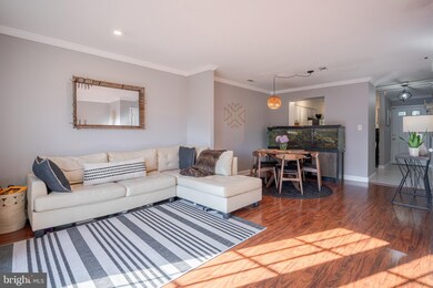 4055 Chesterwood Dr, Silver Spring, MD 20906 - photo 3