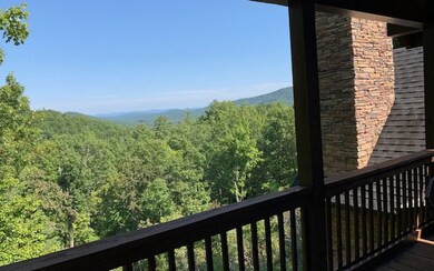 Additional View