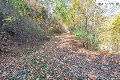 TBD Rocky Knob Rd, Lenoir, NC 28645 - photo 7