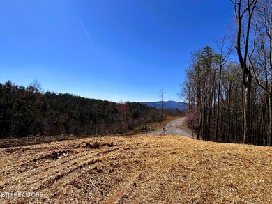 107 Chestnut Mountain Rd, Reliance, TN 37369 - photo 7