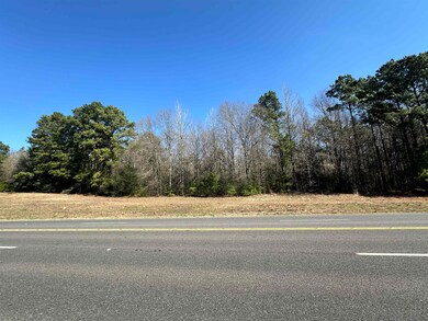 0 Tbd Us Hwy 271 S E unit TBD US Hwy 271 S E, Gilmer, TX 75644 - photo 3