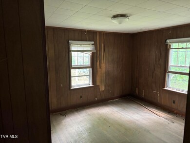309 Roosevelt St, Johnson City, TN 37601 - photo 5