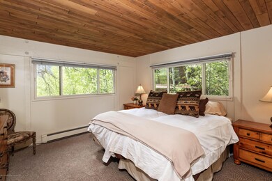 118 E Lupine Dr, Aspen, CO 81611 - photo 6