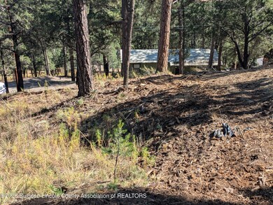 117 San Juan Rd, Ruidoso, NM 88345 - photo 4
