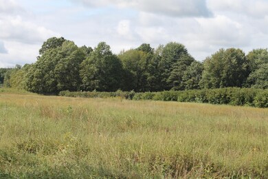 0 Weechik Rd, New Troy, MI 49119 - photo 5