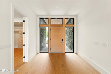 Large front door