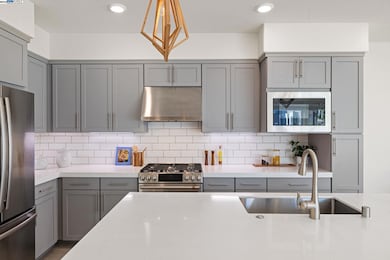 3838 Development Terrace unit 1001, Fremont, CA 94538 - photo 3