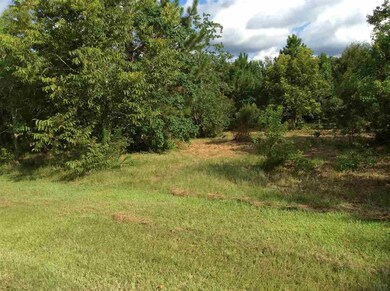 3200 Highway 297a, Cantonment, FL 32533 - photo 2