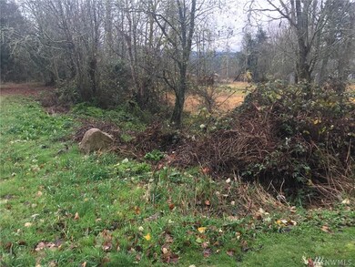 18017 158th Ave SE, Yelm, WA 98597 - photo 7