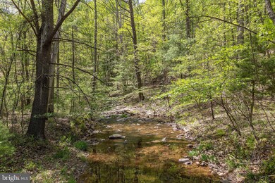 0 Shockeysville Rd unit VAFV2024812, Winchester, VA 22603 - photo 7