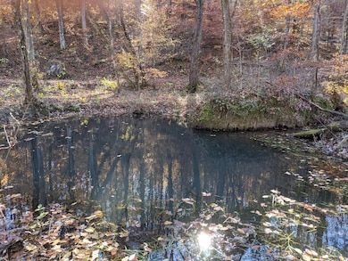 10688 Pine Hill Rd, Mc Donald, TN 37353 - photo 3