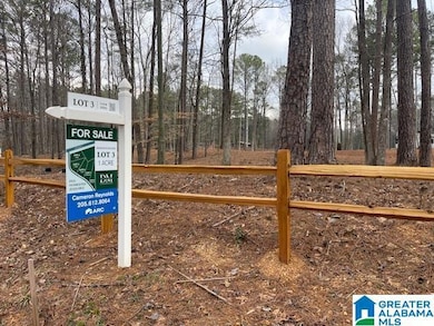 63 Hodgens Rd unit 3, Chelsea, AL 35043 - photo 5