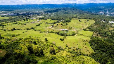 Km 1.6 633, Morovis, PR 00687 - photo 7