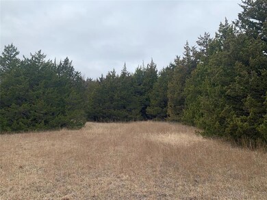 TBD Isbon- Tract 2, Whitesboro, TX 76273 - photo 4