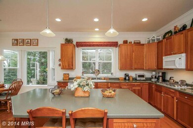 9097 Roaring Spring Loop, Bristow, VA 20136 - photo 3