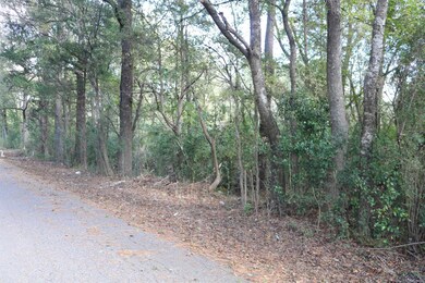 TBD N Cass St, Jefferson, TX 75657 - photo 7