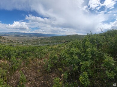View from the top of the property looking down at the mountain's and tree's