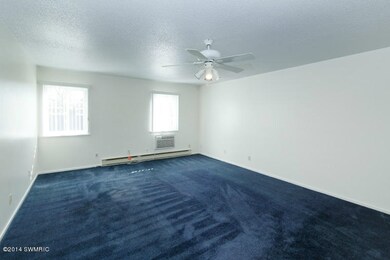 173 E Michigan Ave unit 203B, Three Rivers, MI 49093 - photo 4