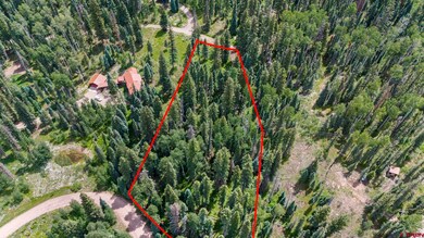 Tract 11 Lime Creek Rd, Durango, CO 81301 - photo 3