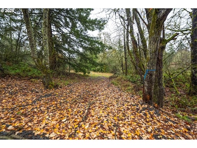 0000 Grimm Rd, Kelso, WA 98626 - photo 3