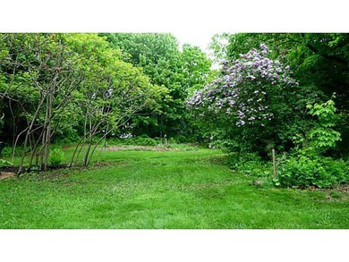 View. The back yard is marvelously...