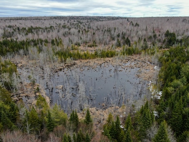 Lot 96 Freedom Way, Prentiss Township T7 R3 Nbpp, ME 04487 - photo 3